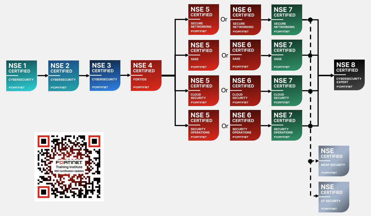 NSE Levels Training